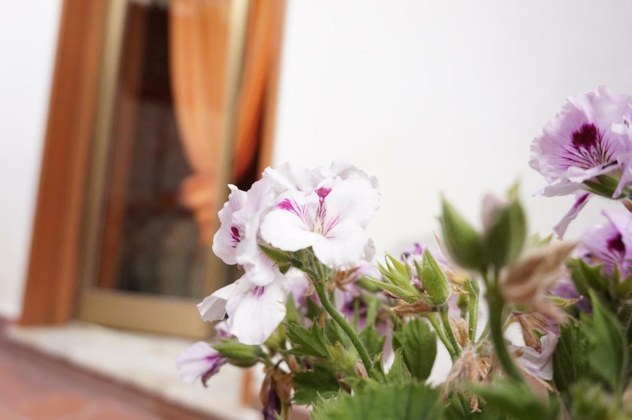 B&B Sikily Naxos Giardini Naxos Kültér fotó